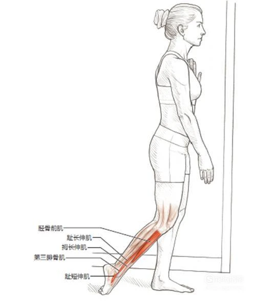 如何制定智能篮球训练计划_2